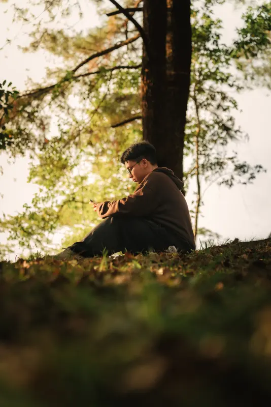 The hour between leaf and screen