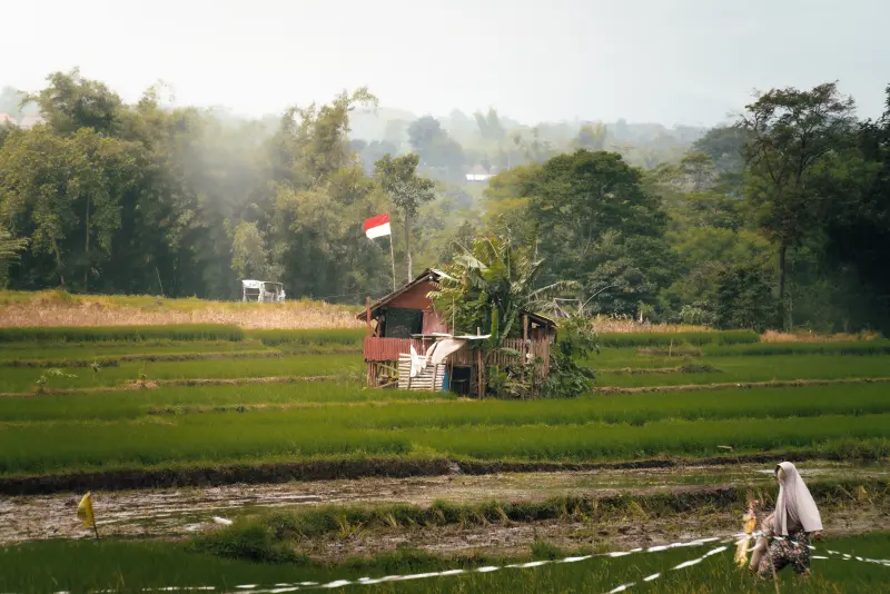 Photograph, 2025