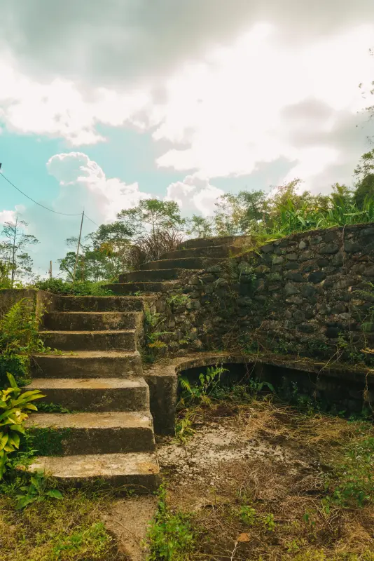 Photograph, 2026